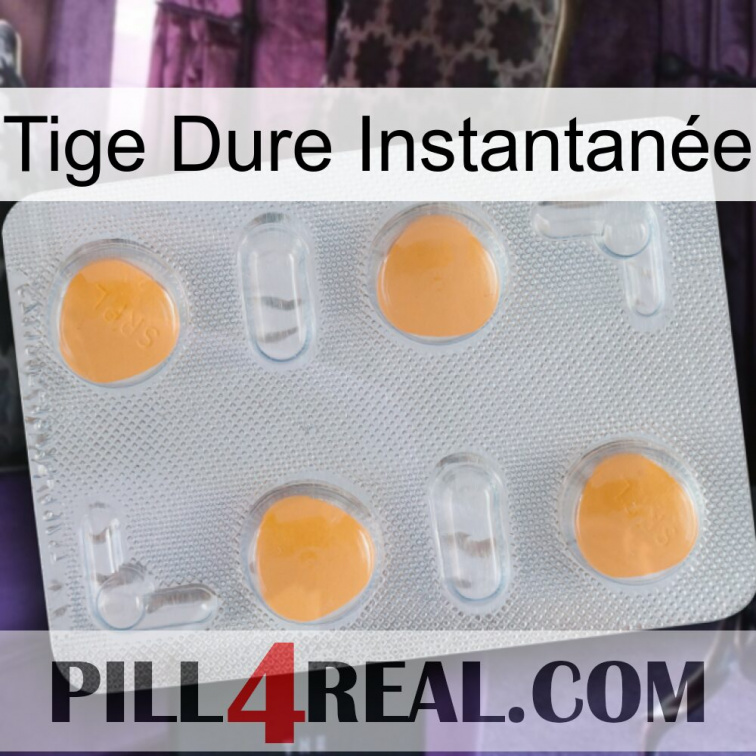 Tige Dure Instantanée 24